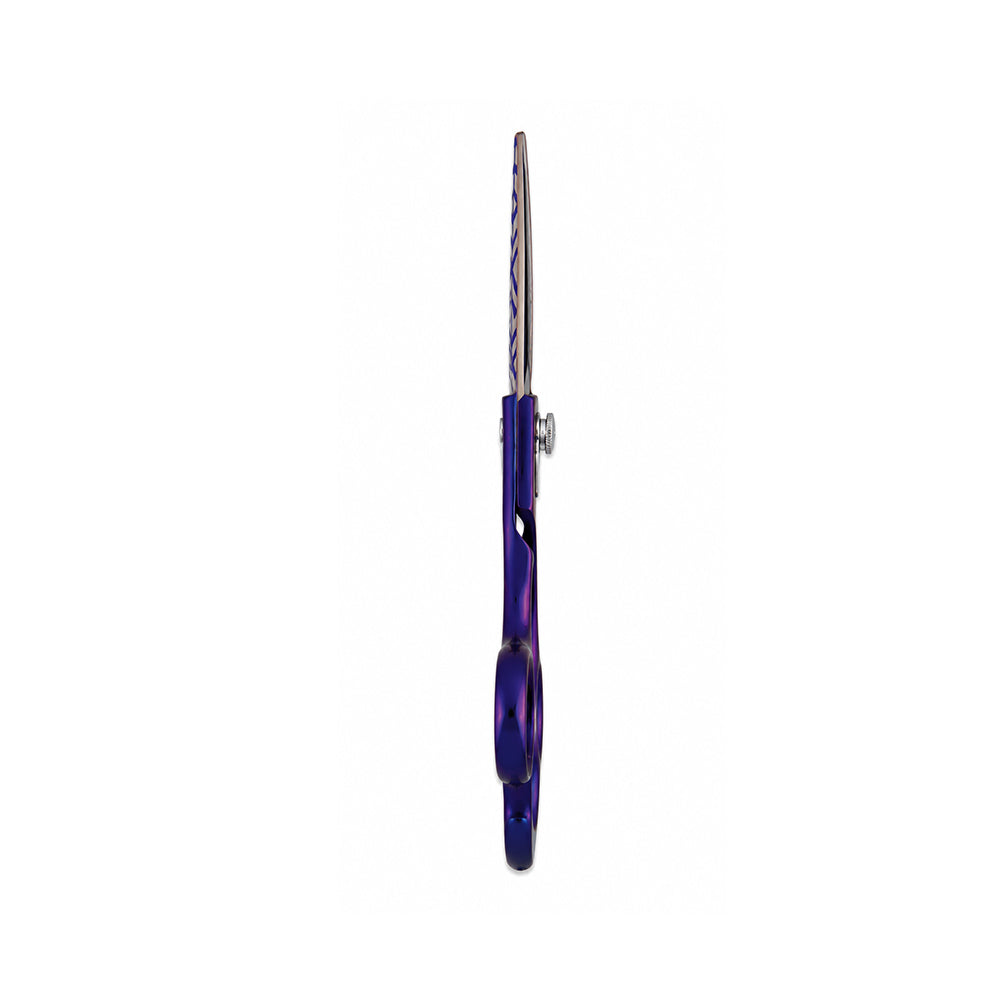 Barber Shears