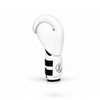 Boxing Glove