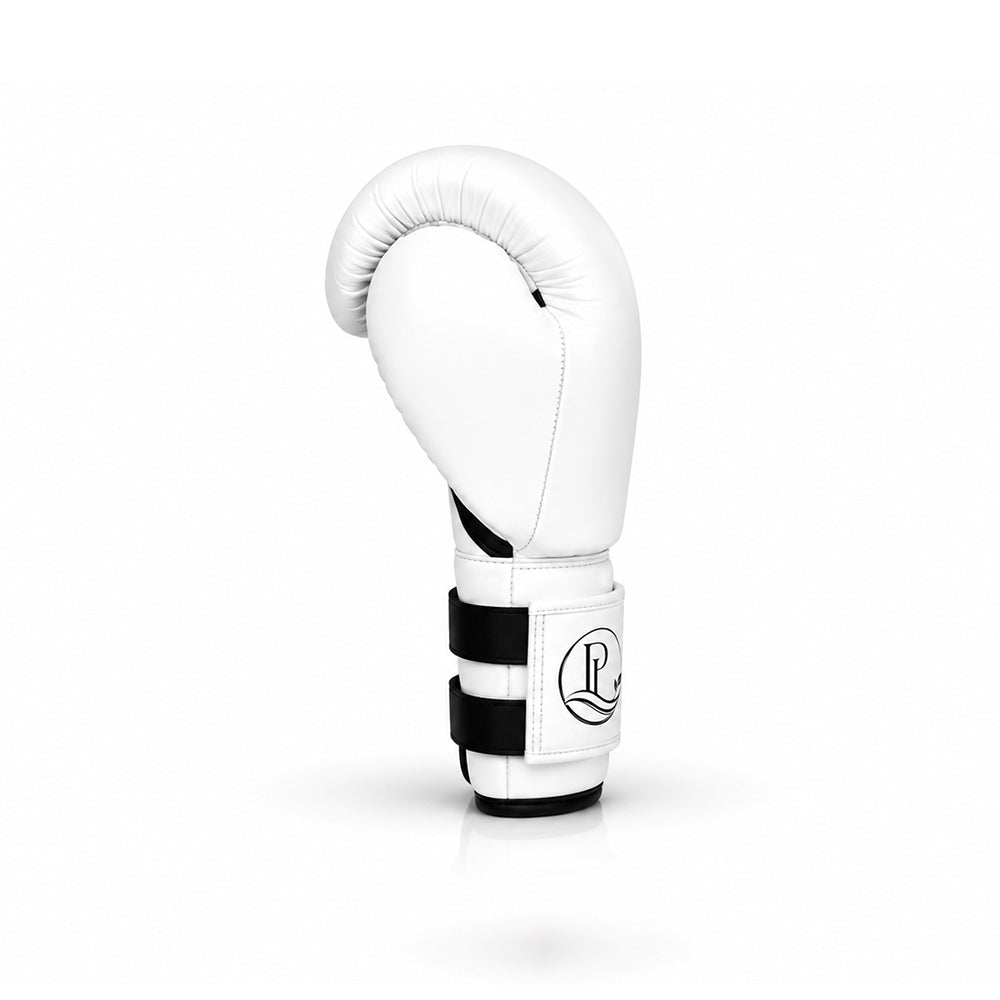 Boxing Glove