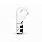 Boxing Glove