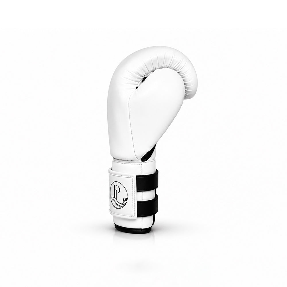 Boxing Glove