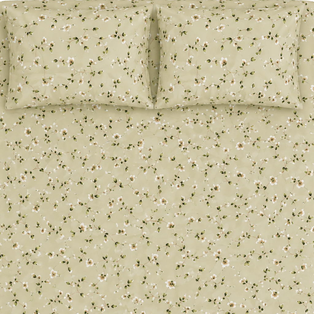 Premium Cotton Bed Sheet