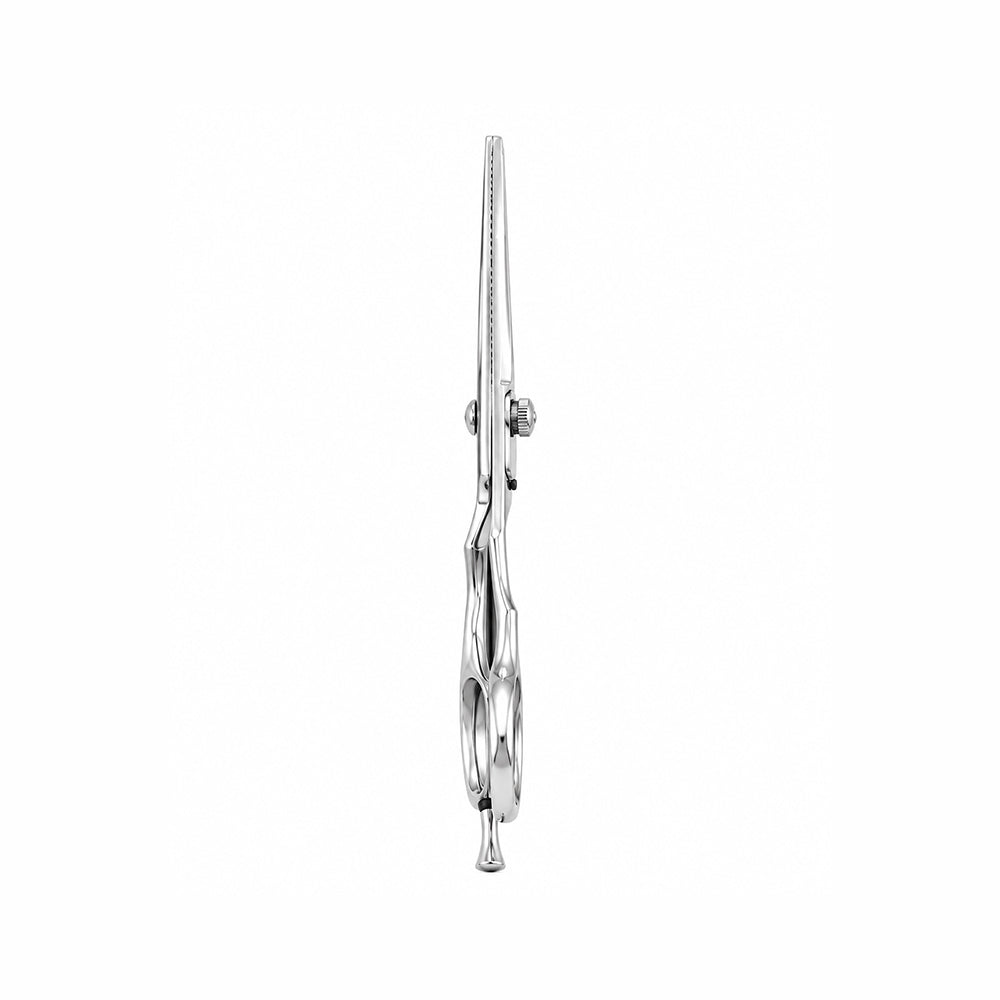 Professionals Thinning Scissors