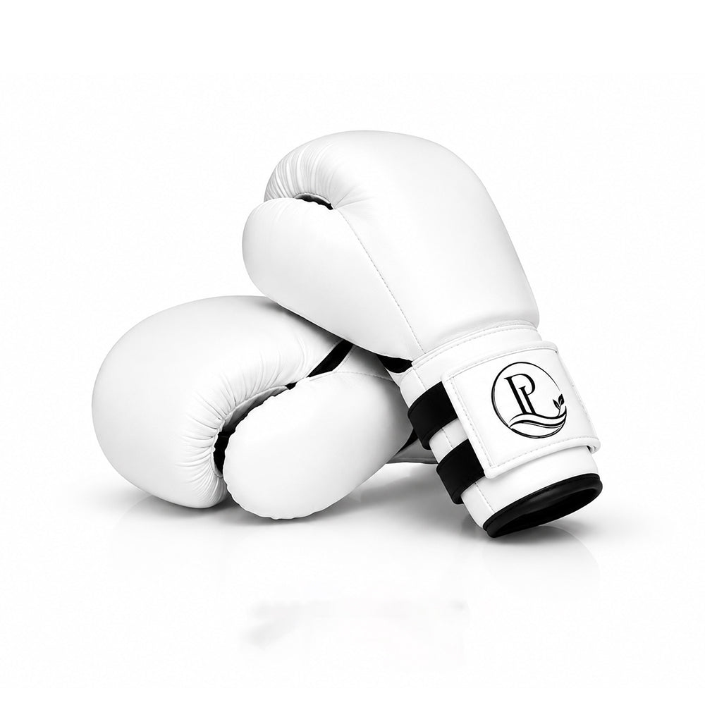 Boxing Glove