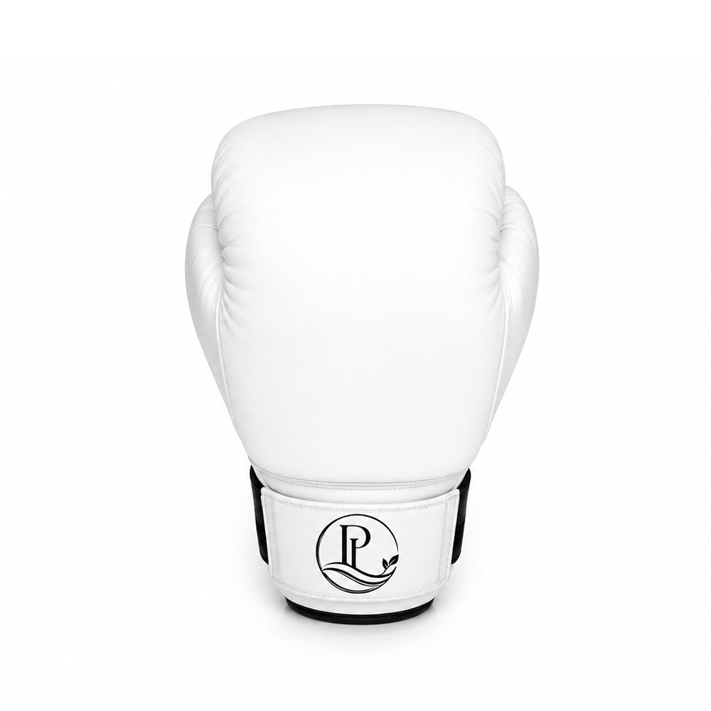 Boxing Glove