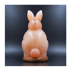 Salt Lamp Animal Rabbit