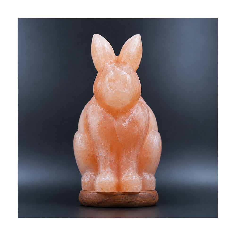 Salt Lamp Animal Rabbit