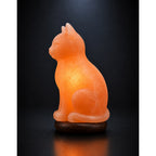Salt Lamp Animal Cat