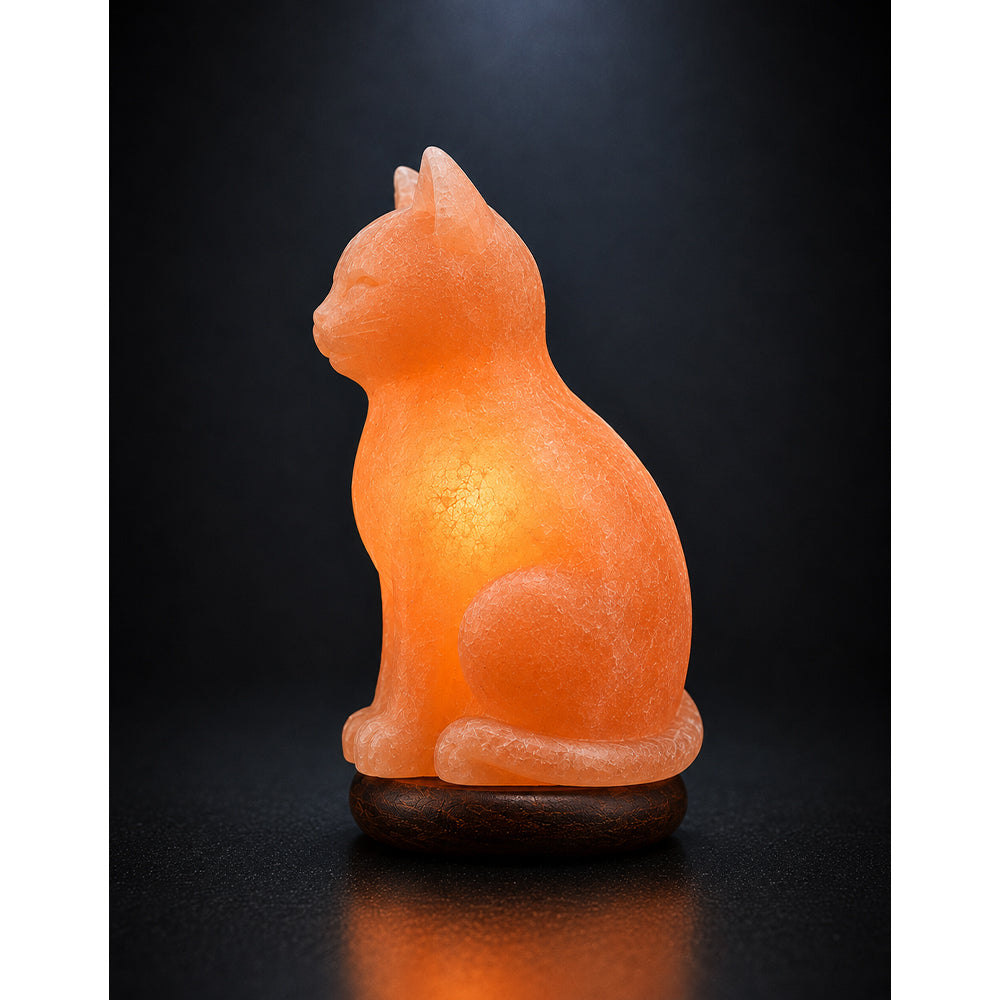 Salt Lamp Animal Cat