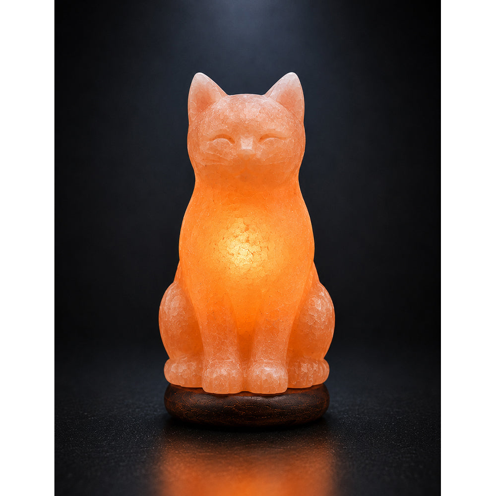 Salt Lamp Animal Cat