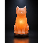 Salt Lamp Animal Cat