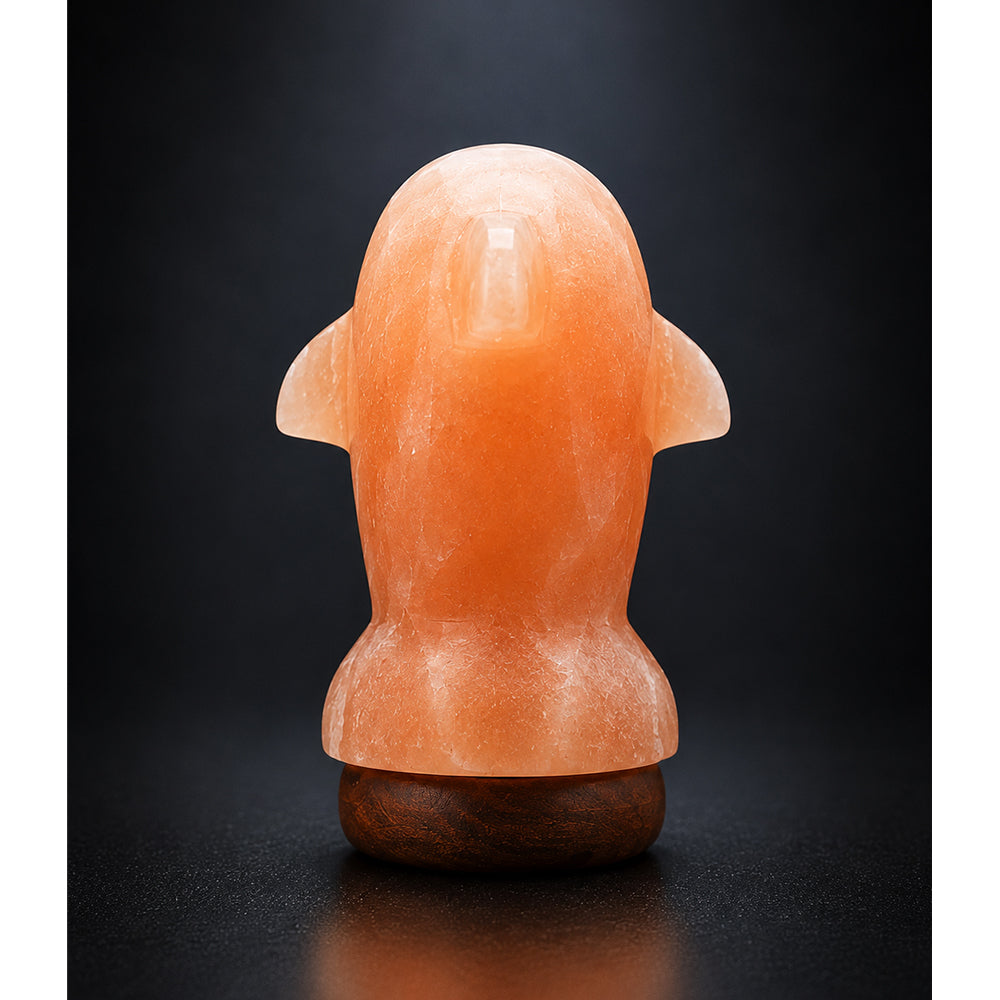 Salt Lamp Animal Dolphin