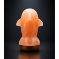Salt Lamp Animal Dolphin