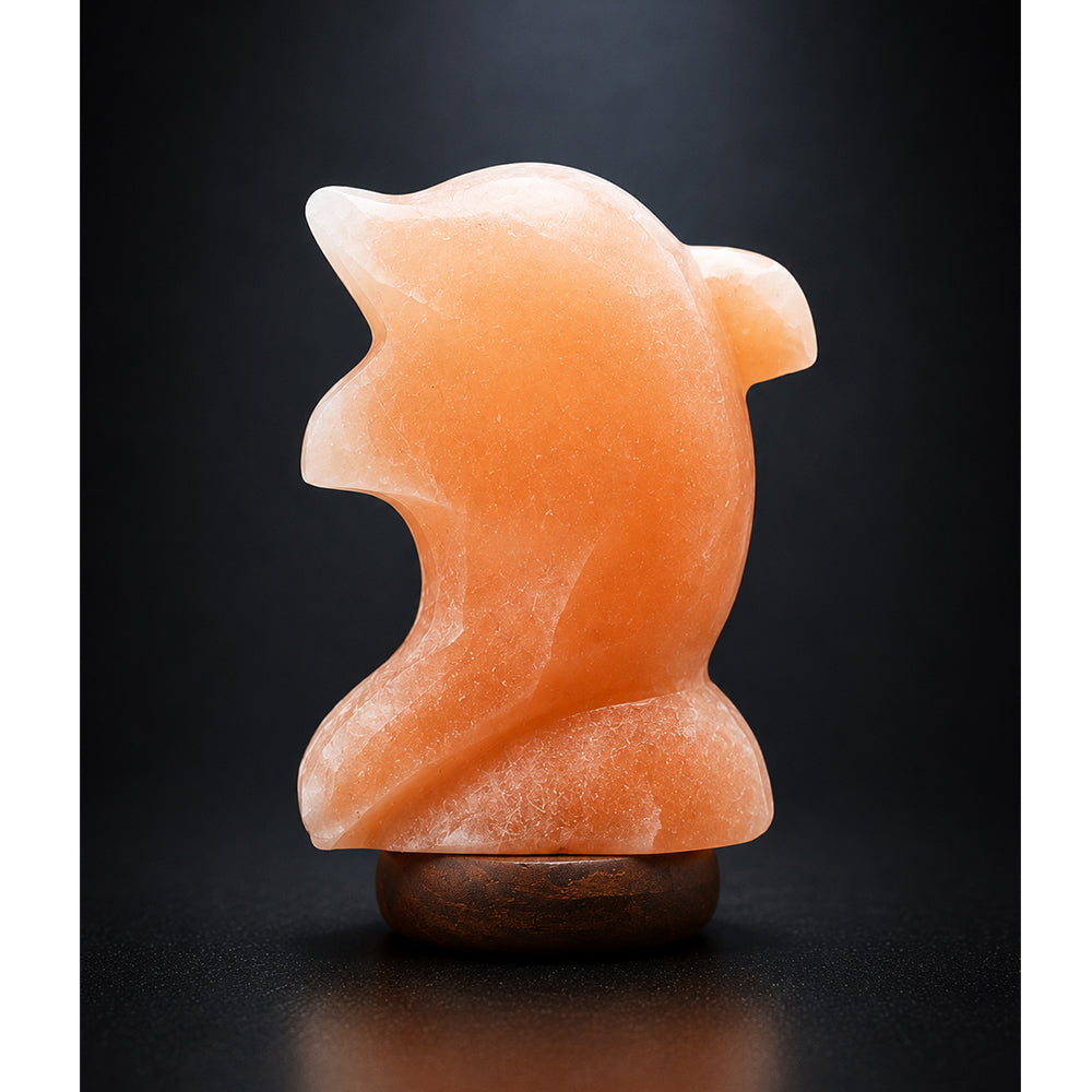 Salt Lamp Animal Dolphin