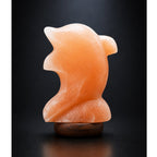 Salt Lamp Animal Dolphin