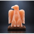 Salt Lamp Animal Eagle