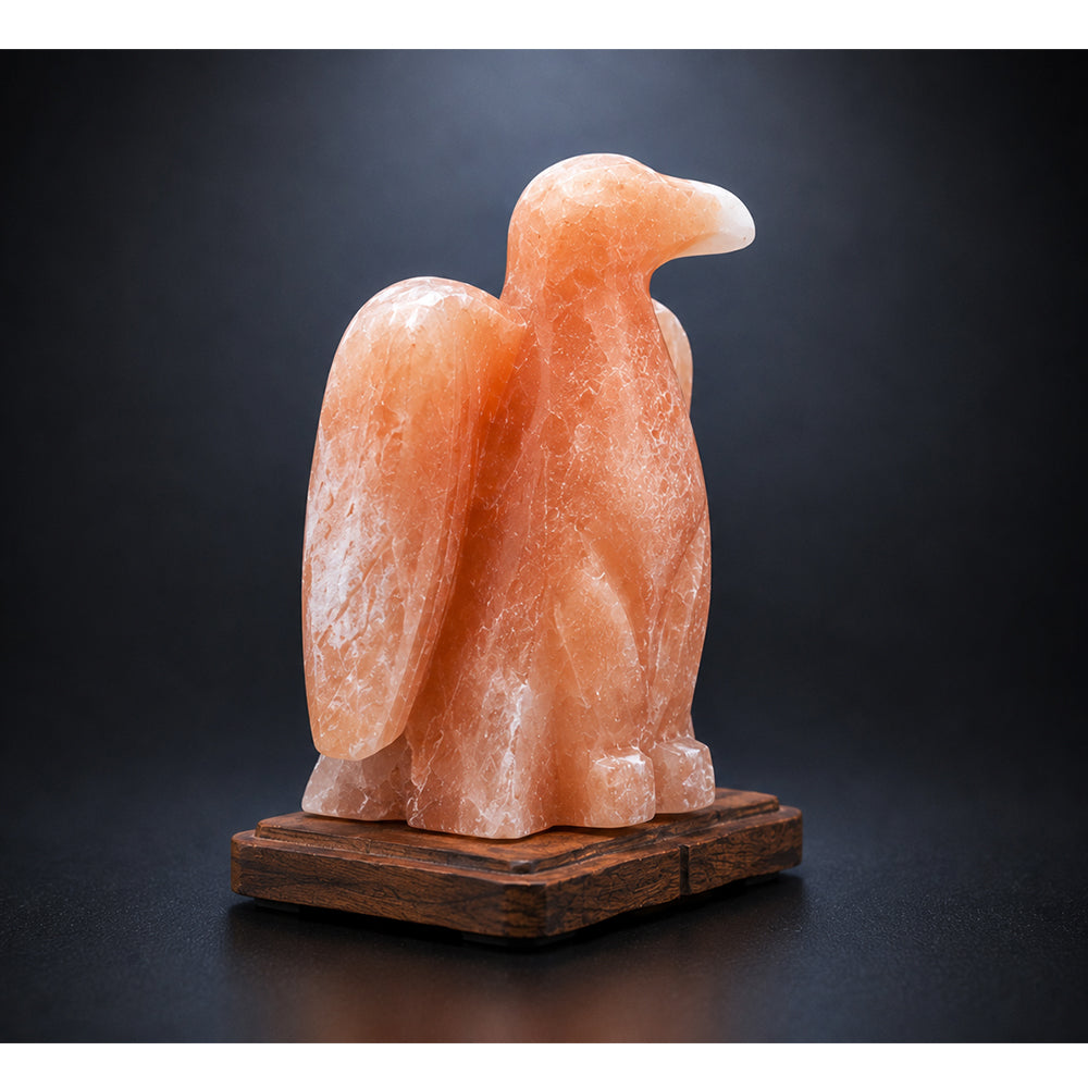 Salt Lamp Animal Eagle