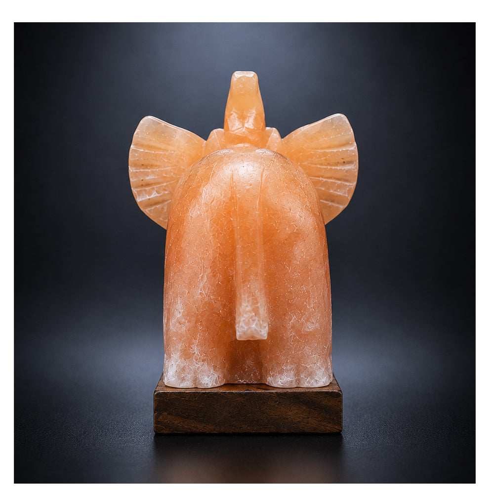 Salt Lamp Animal Elephant
