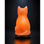 Salt Lamp Animal Cat