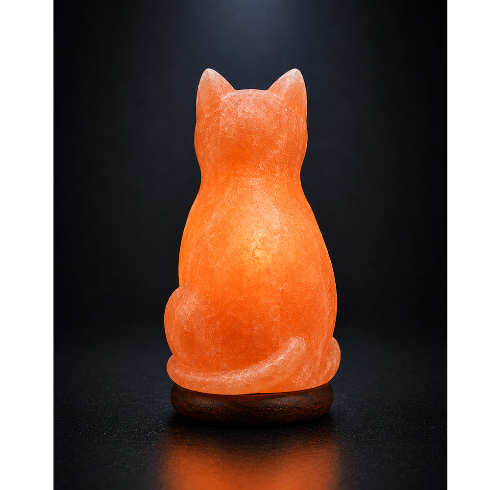 Salt Lamp Animal Cat